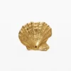 Vergoldeter Muschelring Zalio
