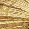 Vergoldeter Muschelring Zalio